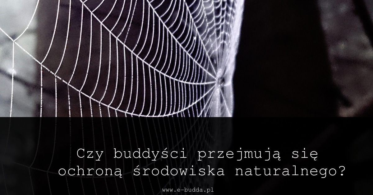 Buddyści a ochrona przyrody